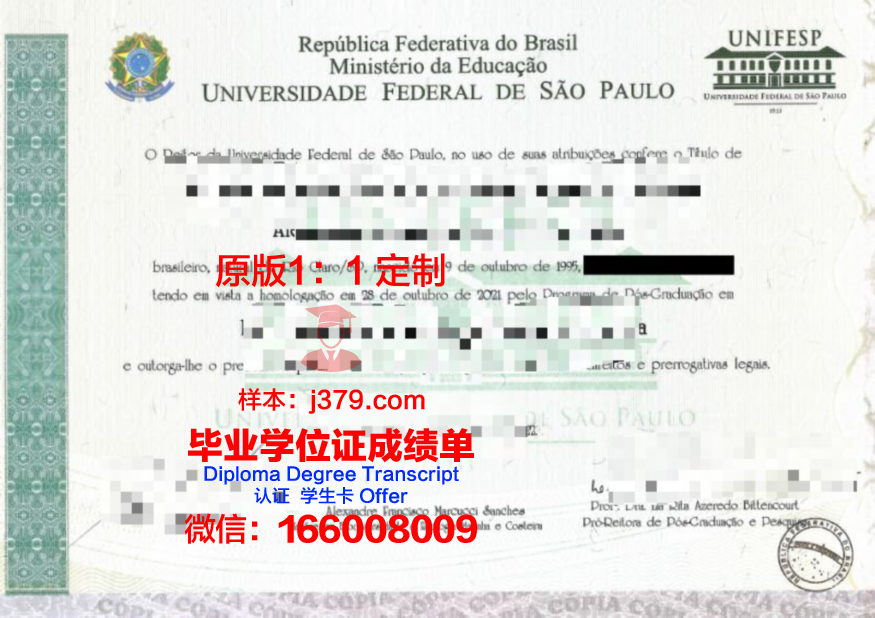 瓦加斯基金会圣保罗经济学院毕业证书