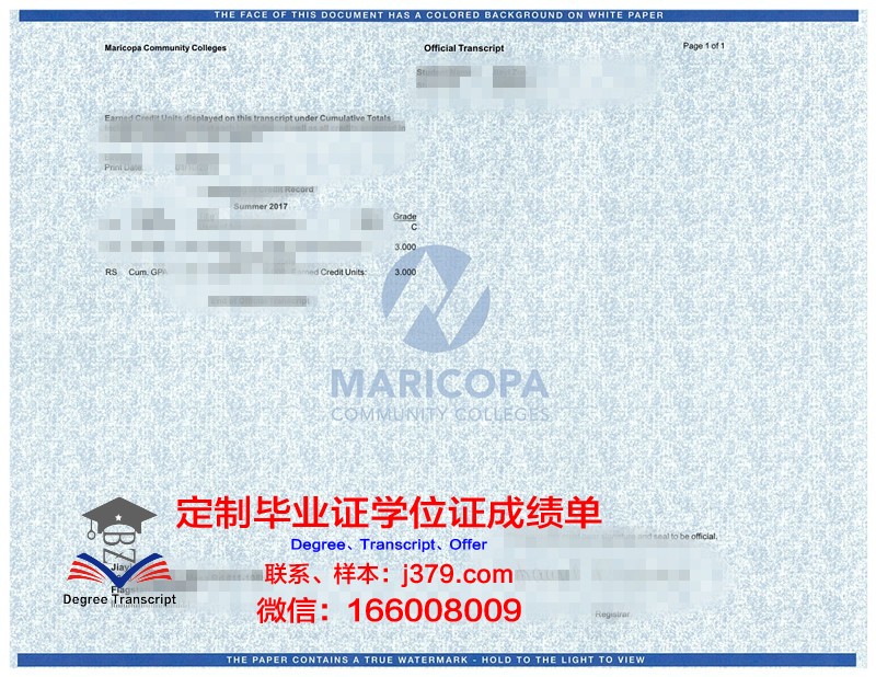 菲里德里克第二大学学位成绩单定制：揭开学术诚信的真相