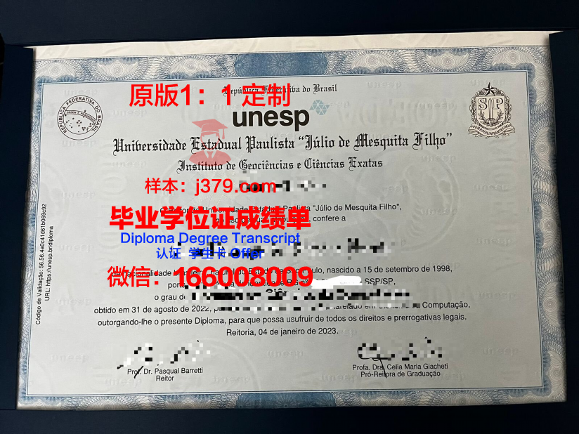 瓦加斯基金会圣保罗经济学院毕业证模板
