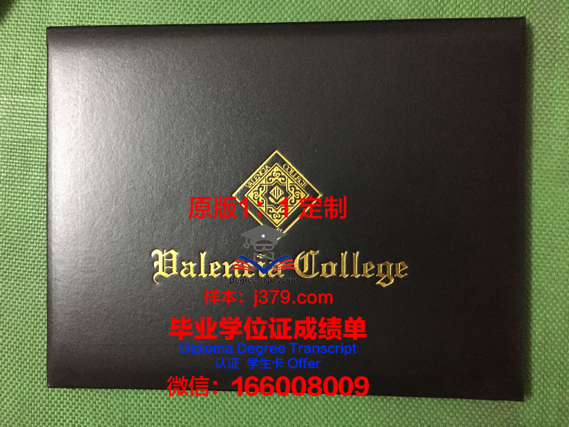 瓦伦西亚理工大学毕业证书图片(瓦伦西亚理工大学qs)