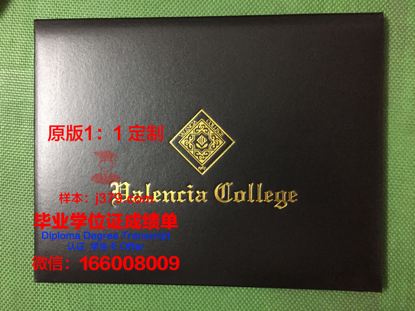 瓦伦西亚科技大学毕业证书图片(瓦伦西亚大学相当于国内什么大学)