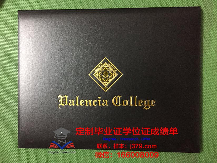瓦伦西亚欧洲大学本科毕业证(瓦伦西亚大学相当于国内什么大学)