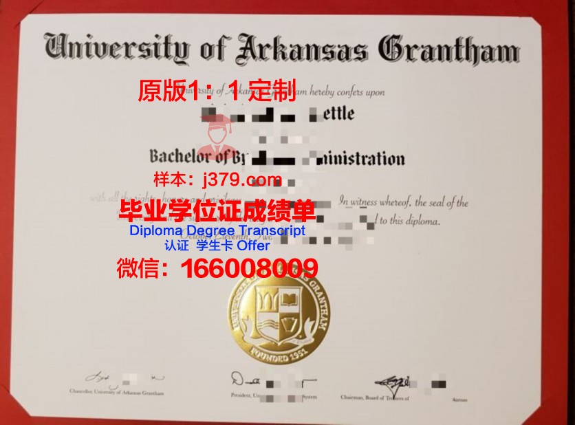 阿肯色大学小石城分校校园卡(阿肯色大学商学院)