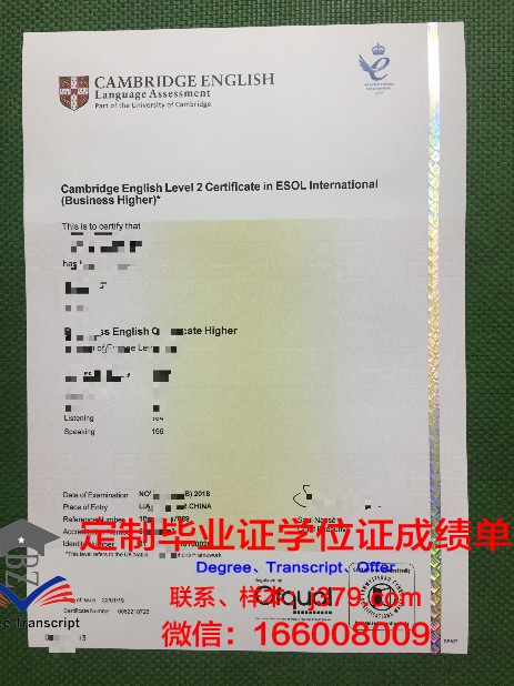萨拉戈萨大学的荣耀——毕业证书