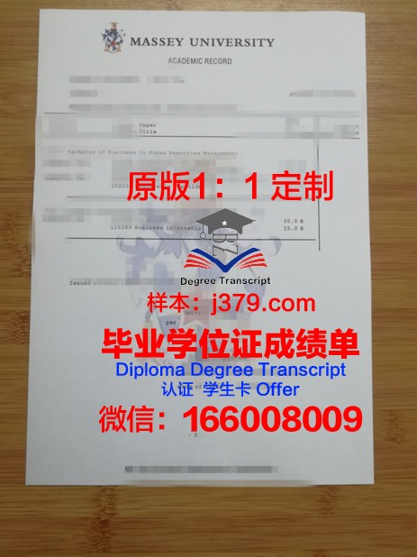 萨德尔巴克学院学位成绩单定制：质量与诚信的双重考验