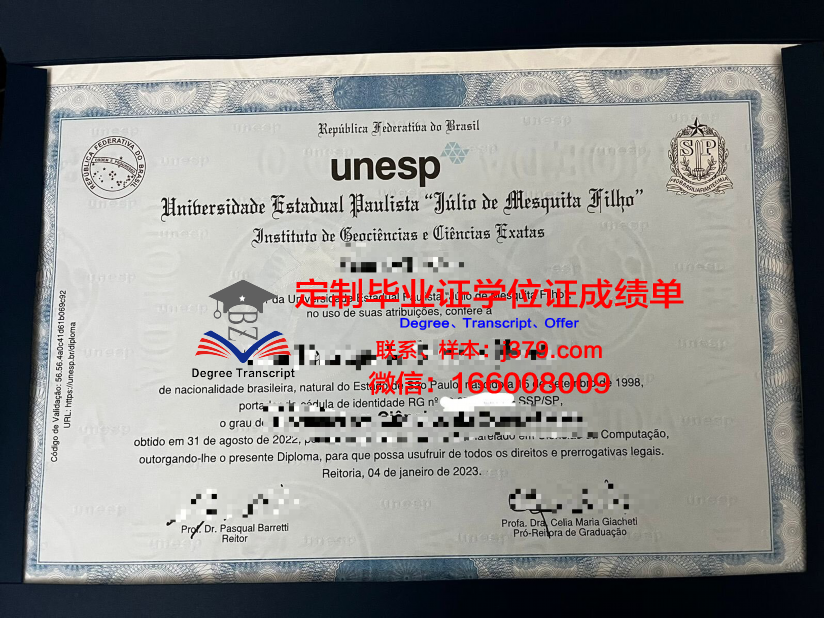 瓦加斯基金会圣保罗工商管理学院成绩单：探秘巴西商业教育的翘楚