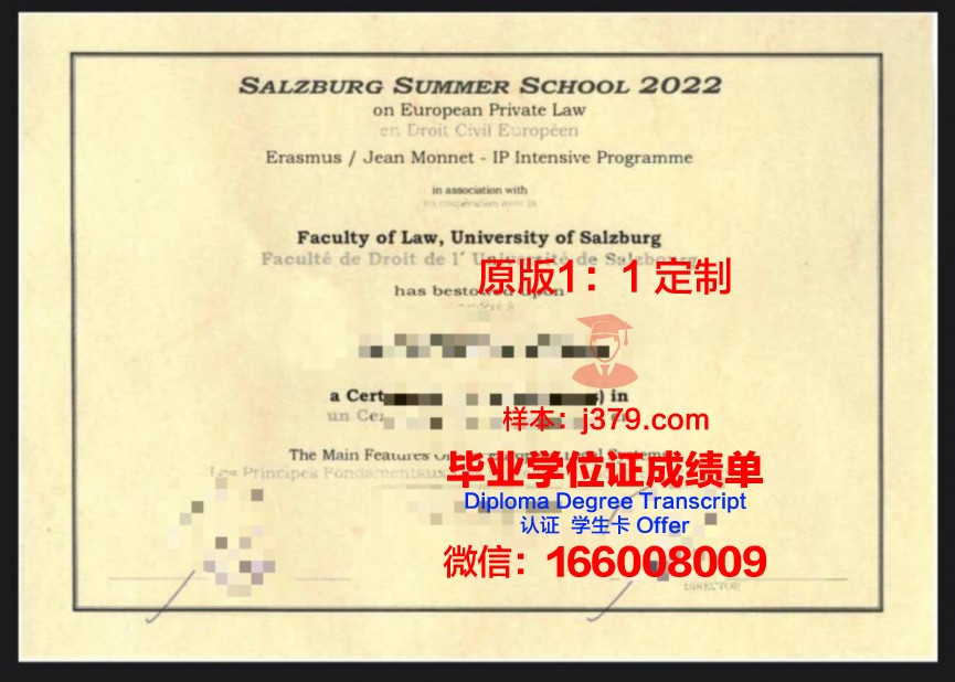 萨尔茨堡高等专业学院毕业证书什么颜色(萨尔茨堡有张床)