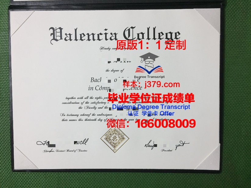 瓦伦西亚大学毕业证怎么拿(瓦伦西亚大学申请难度)
