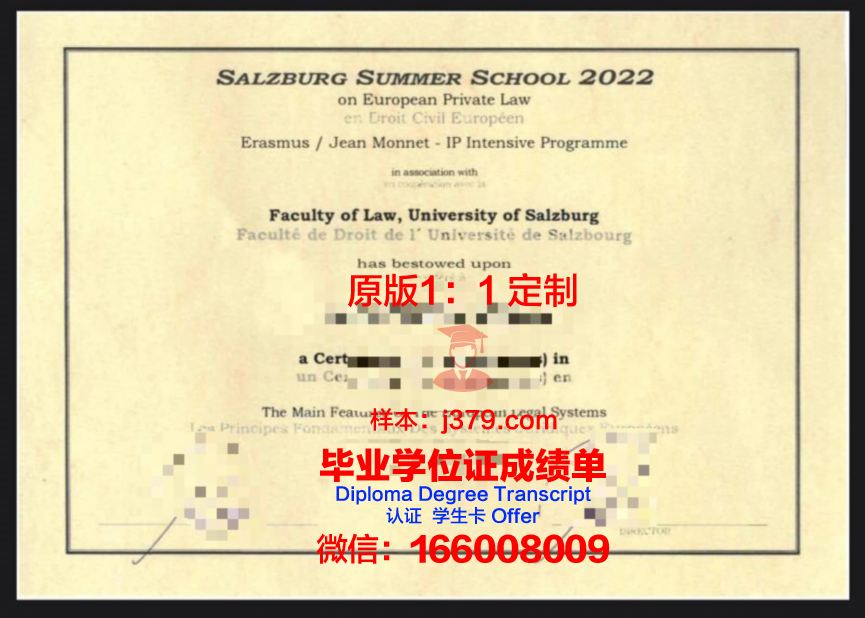 萨尔茨堡大学毕业证定制：传承与创新的艺术结晶